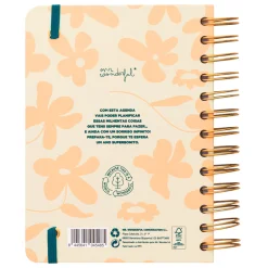 Mr. Wonderful Agenda Office 24/25 Diária Pequena - Cada Dia Mais Pertinho de Conseguir