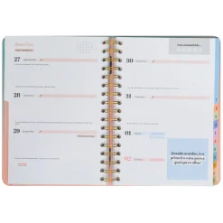 Mr. Wonderful Agenda Office 24/25 Semanal Grande - Muitas Conquistas para Celebrar