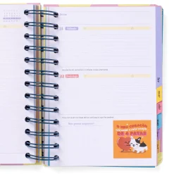 Mr Wonderfull Agenda Wonder 25-26 Diária Pequena- Dia À Vista