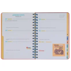 Mr. Wonderful Agenda Wonder 24/25 Semanal Grande - Vou Com Tudo