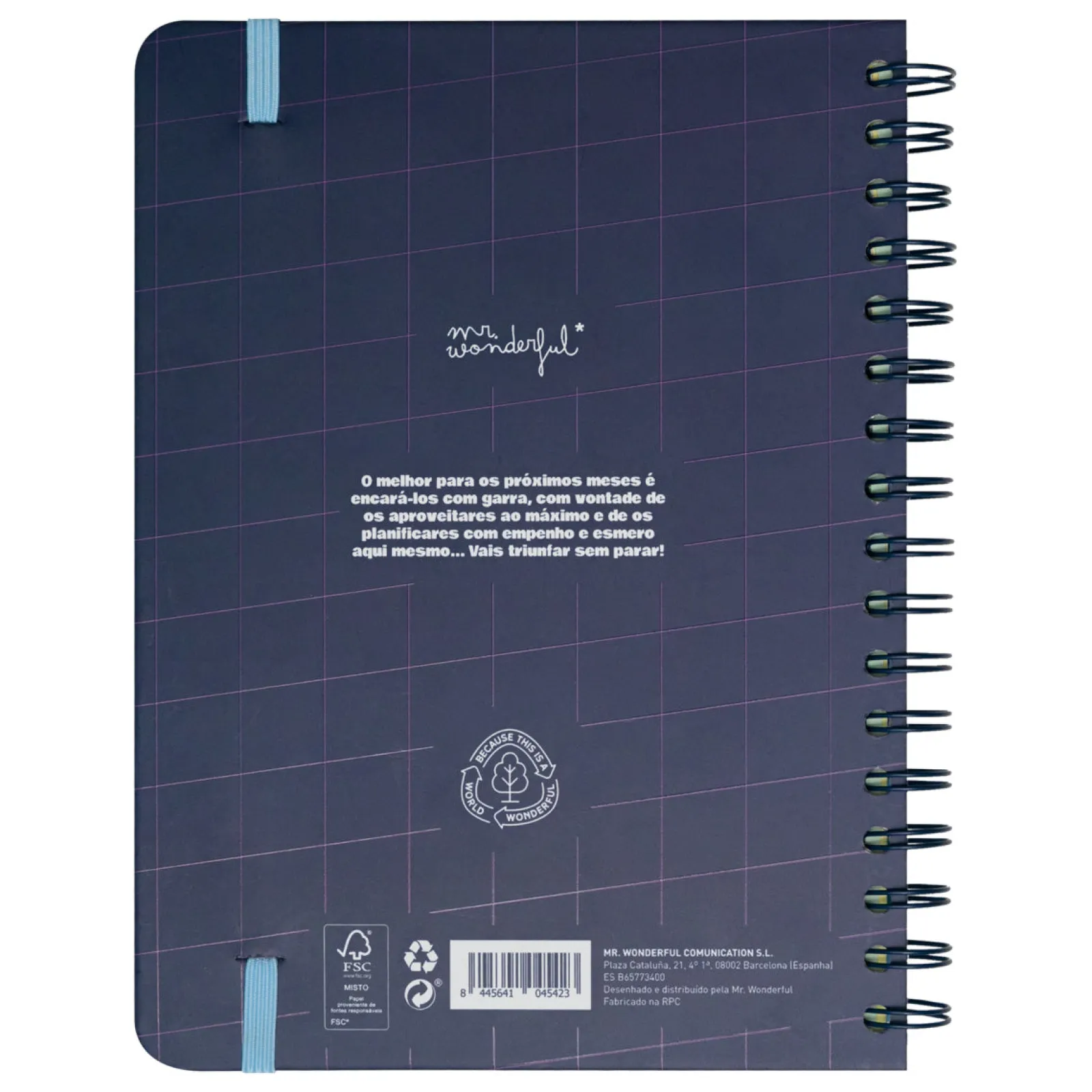 Best Mr. Wonderful Agenda Wonder 24/25 Semanal Grande - Planos Que Prometem, Sonhos que Acontecem