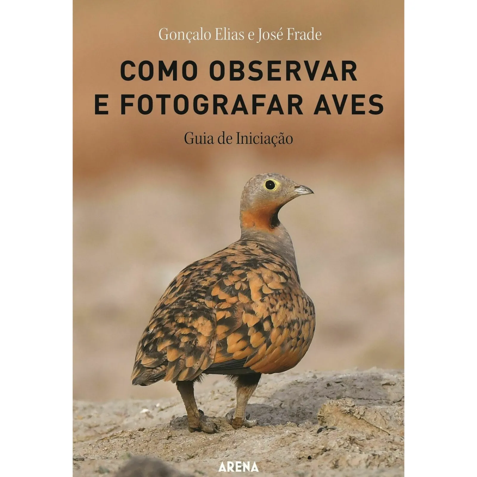 Online Arena Como Observar e Fotografar Aves