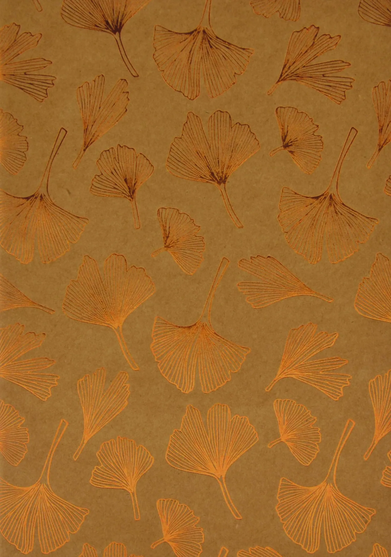 Discount Classy Sassy Conjunto de 3 Cadernos A5 -