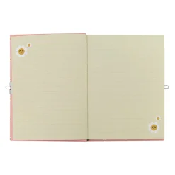 Mr. Wonderful Diário - Relatos E Segredos