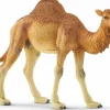 Schleich Dromedário