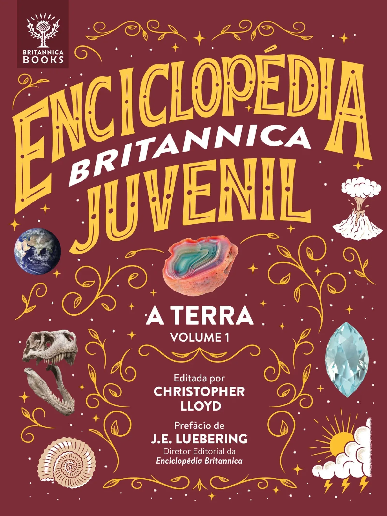 Nuvem De Tinta Enciclopédia Britânica Juvenil de Christopher Lloyd