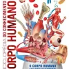 Texto Editores Enciclopédia do Conhecimento - Corpo Humano de Dorling Kindersley - O Corpo Humano Explorado ao Pormenor