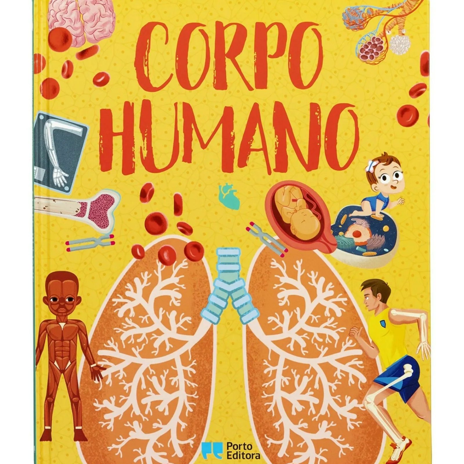 Best Porto Editora Enciclopédia dos Curiosos- Corpo Humano