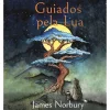 Clearance Iguana Guiados Pela Lua de James Norbury