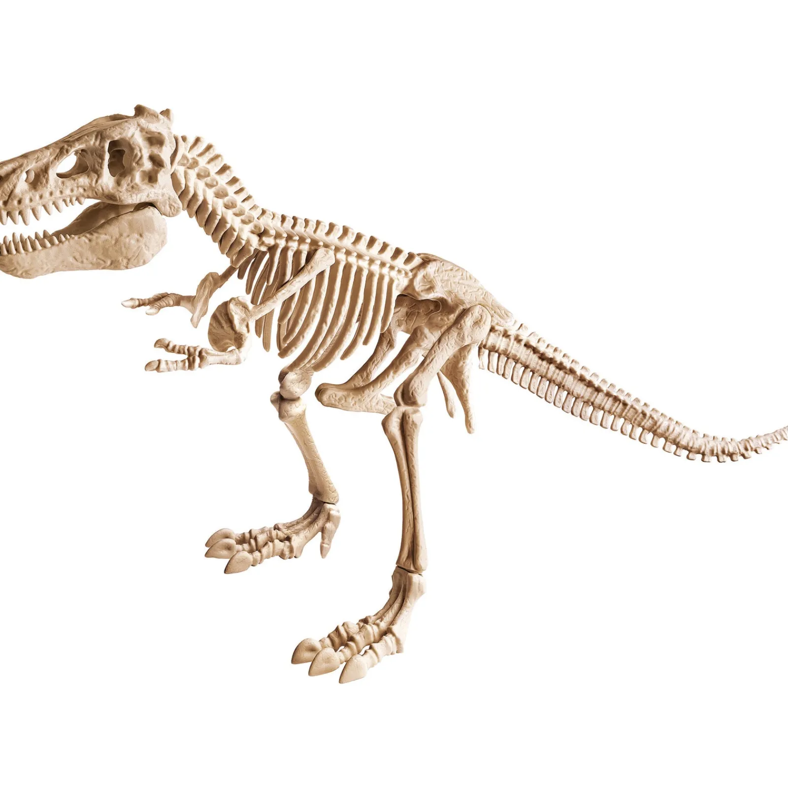 Ciência & Jogo Kit Arqueologia - T-Rex Gigante