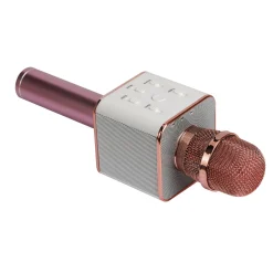 Wesdar Microfone Com Coluna Sem Fios