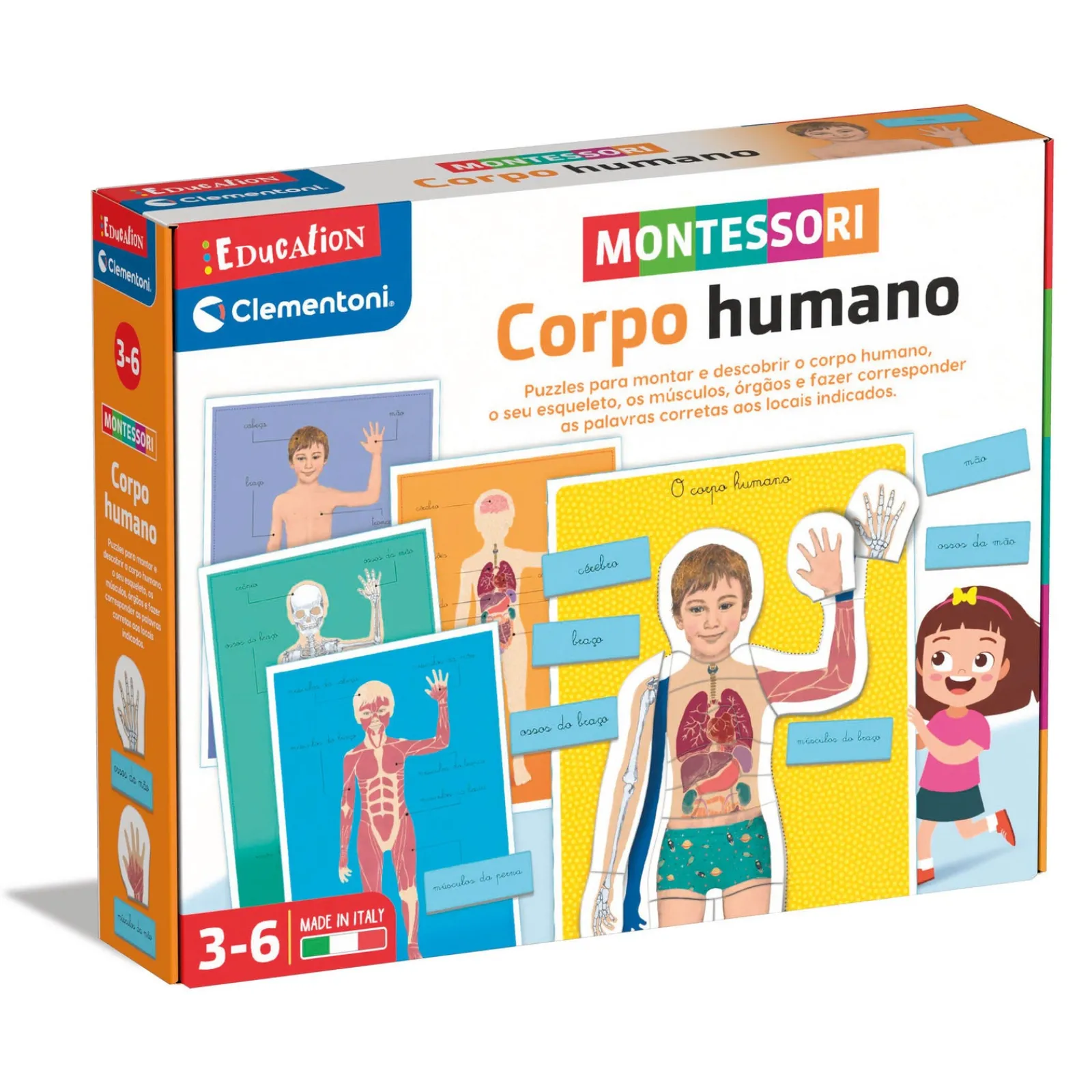 Education Montessori - Corpo Humano Clementoni