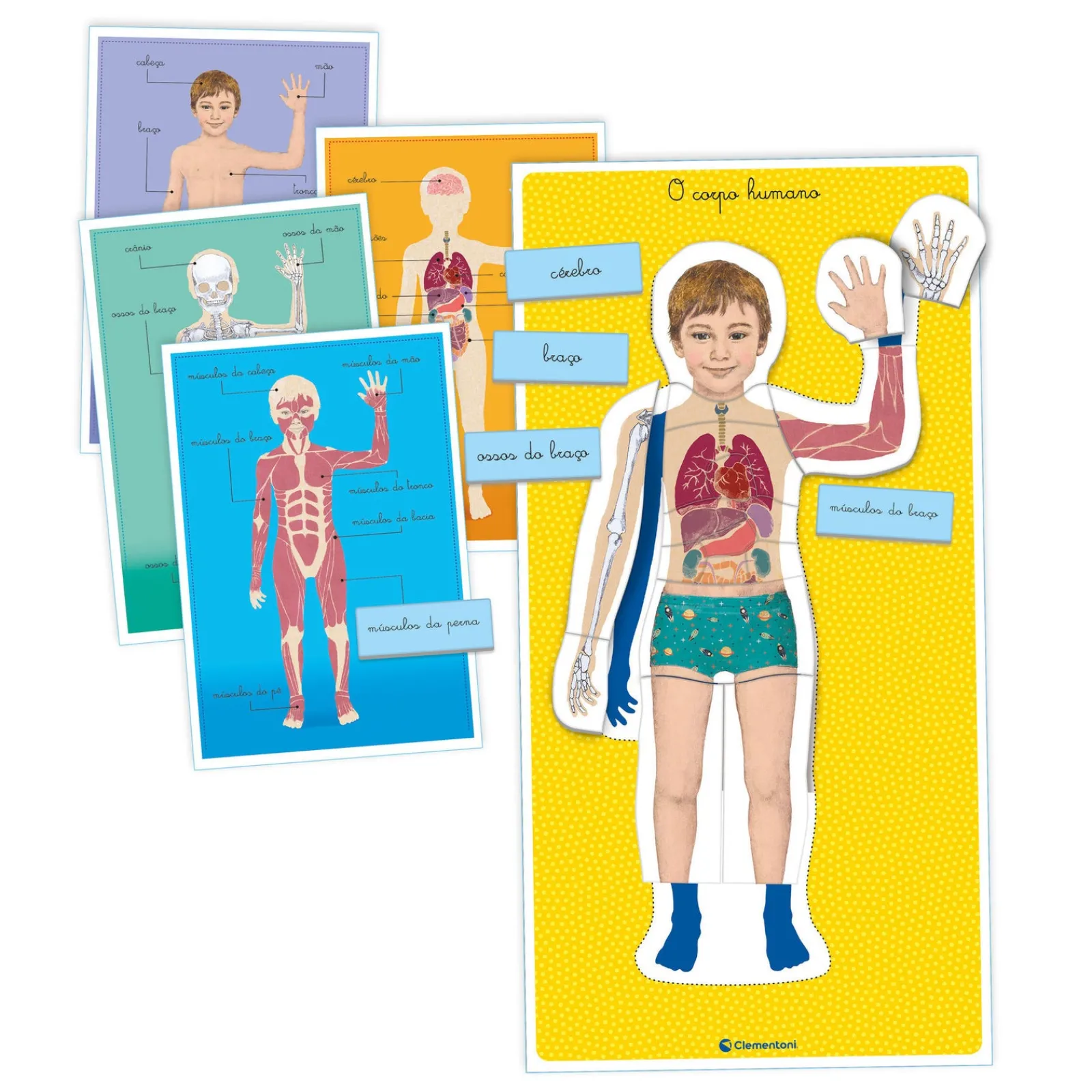 Education Montessori - Corpo Humano Clementoni