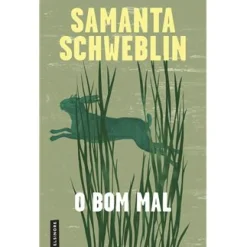 Elsinore O Bom Mal de Samanta Schweblin