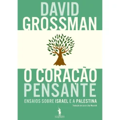 Dom Quixote O Coração Pensante de David Grossman - Ensaios Sobre Israel e a Palestina