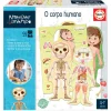 Educa O Corpo Humano -