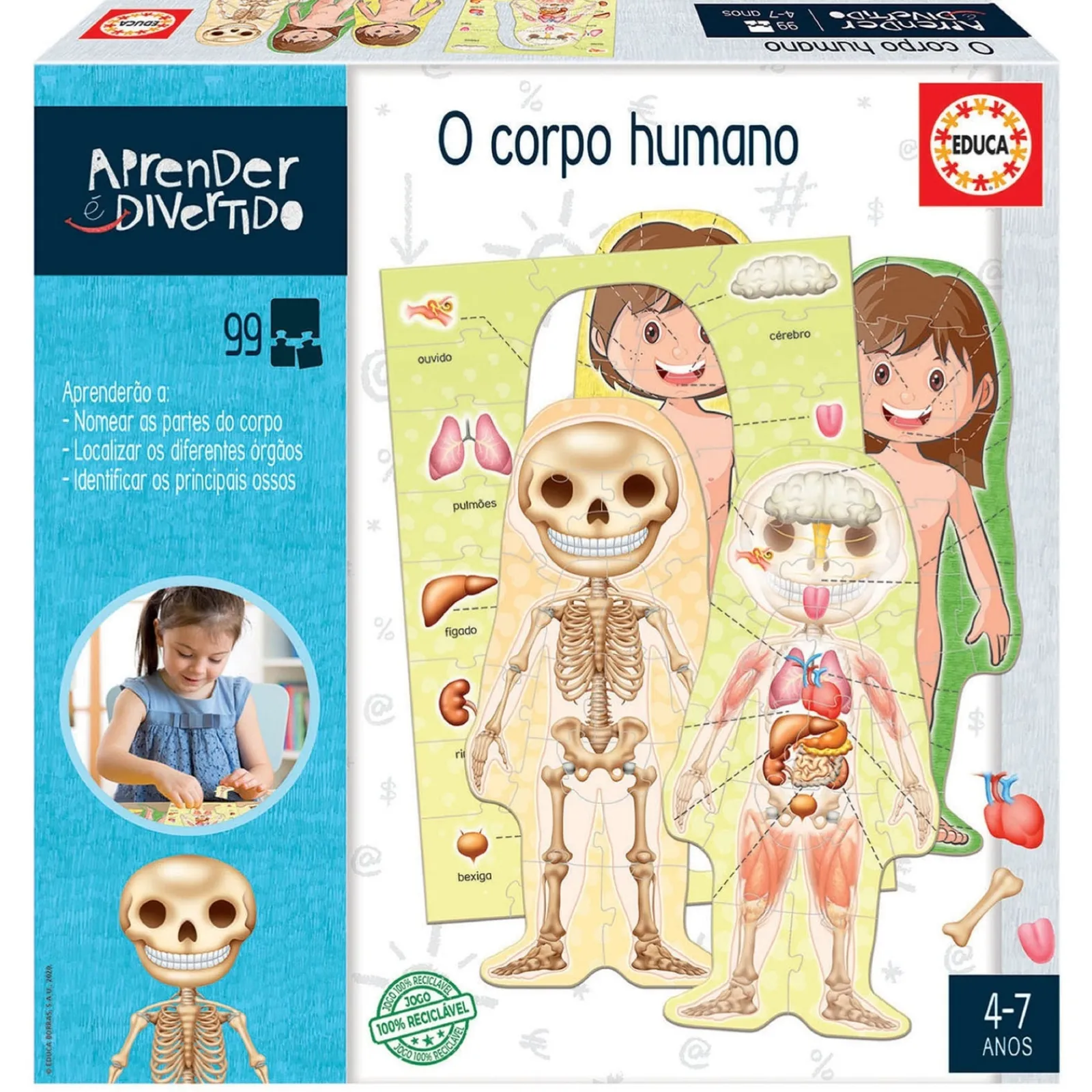 Educa O Corpo Humano -
