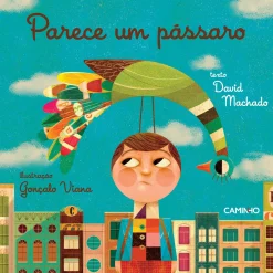 Caminho Parece um Pássaro de David Machado