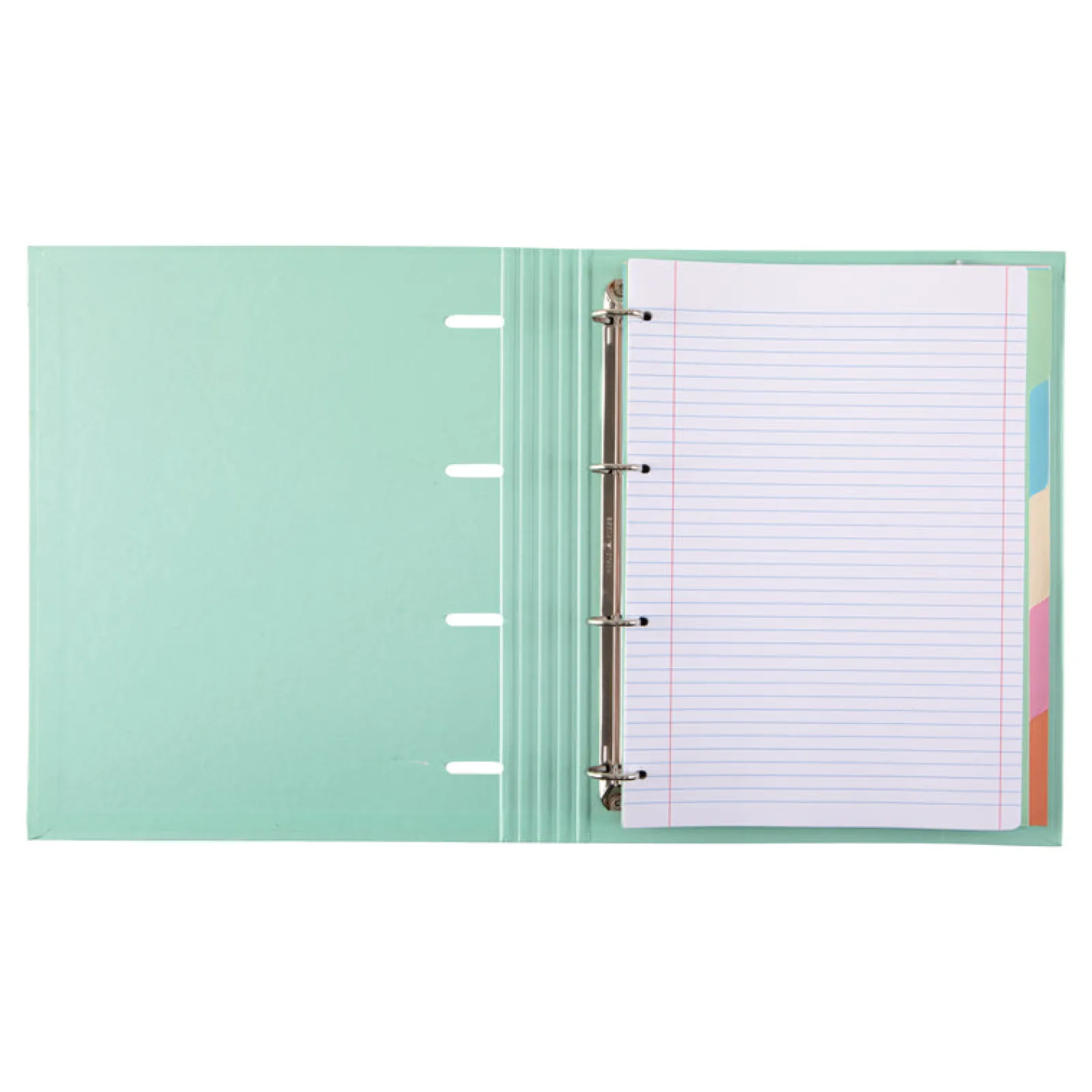 Discount Note! Pasta A4 Lombada Estreita com Elástico 100 Folhas e 5 Separadores Pastel (artigo sortido)