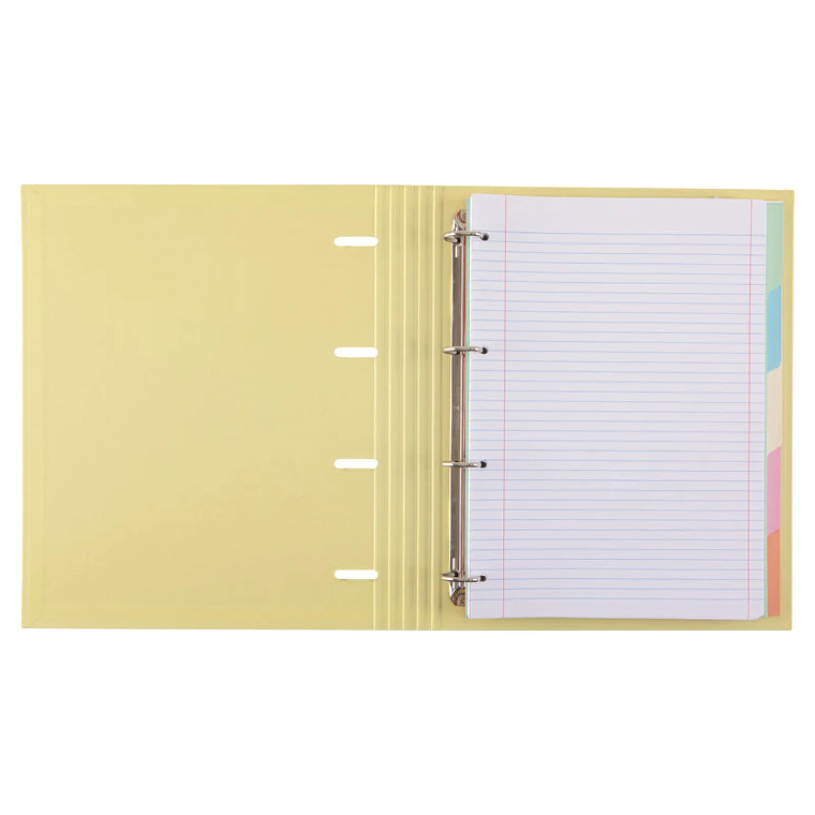 Discount Note! Pasta A4 Lombada Estreita com Elástico 100 Folhas e 5 Separadores Pastel (artigo sortido)