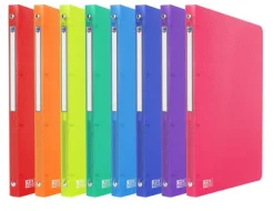 Oxford Pasta de Fole com 13 Divisórias A4 (várias cores)