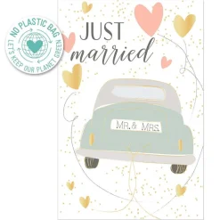 Artebene Postal - Just Married