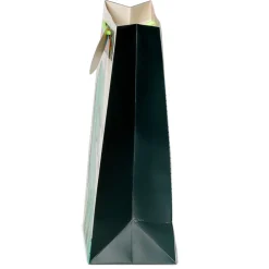 Hot Puckator Saco Presente Grande - Dinossauro