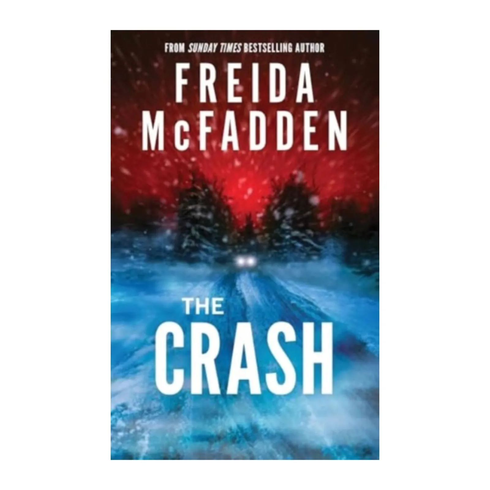 Outlet Sourcebooks The Crash de Freida McFadden