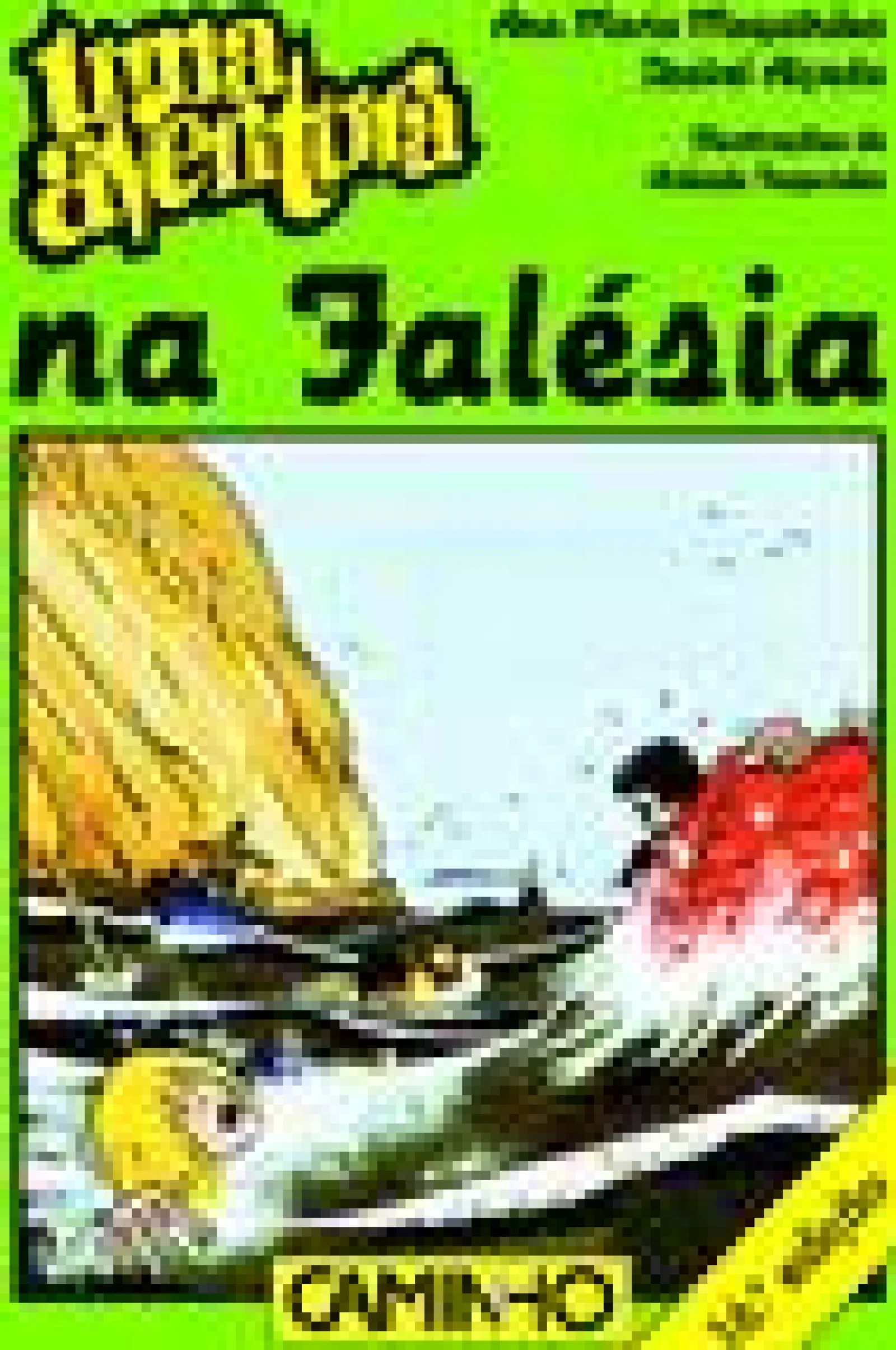 Sale Caminho Uma Aventura na Falésia de Ana Maria Magalhães e Isabel Alçada